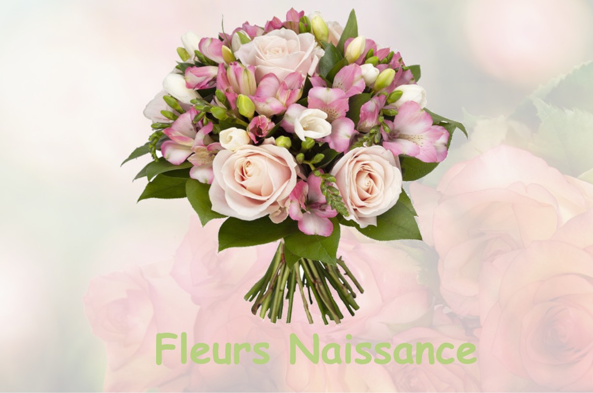 fleurs naissance LE-MESNIL-AU-GRAIN